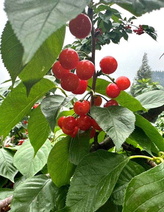 /website-webapp/ewebeditor/uploadfile/20230417102142103012