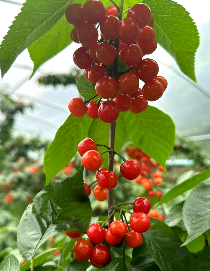 /website-webapp/ewebeditor/uploadfile/20230417102137385009