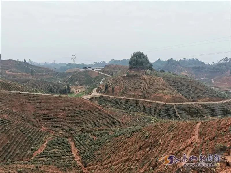 /website-webapp/ewebeditor/uploadfile/20221114165914498011