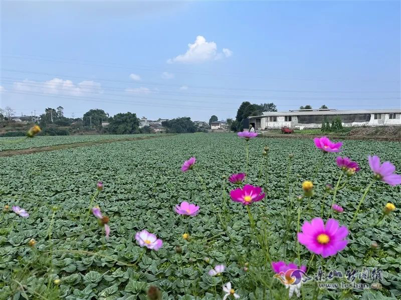 /website-webapp/ewebeditor/uploadfile/20221114165859592005