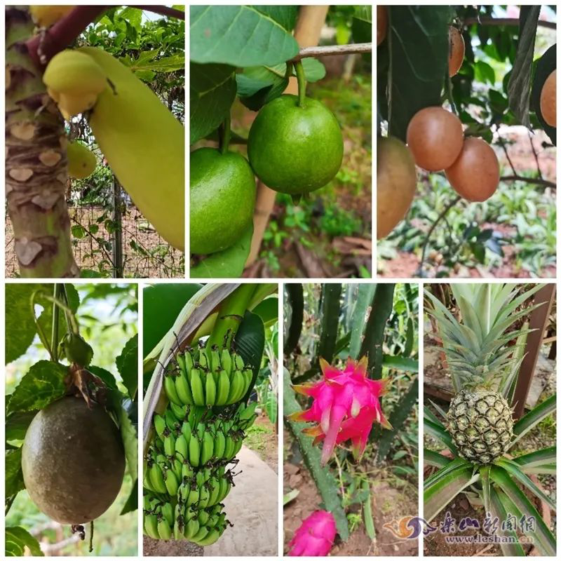 /website-webapp/ewebeditor/uploadfile/20221114165902887006