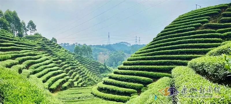 /website-webapp/ewebeditor/uploadfile/20221114165856481003