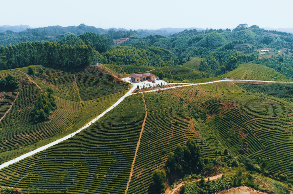 /website-webapp/ewebeditor/uploadfile/20221114165905322008