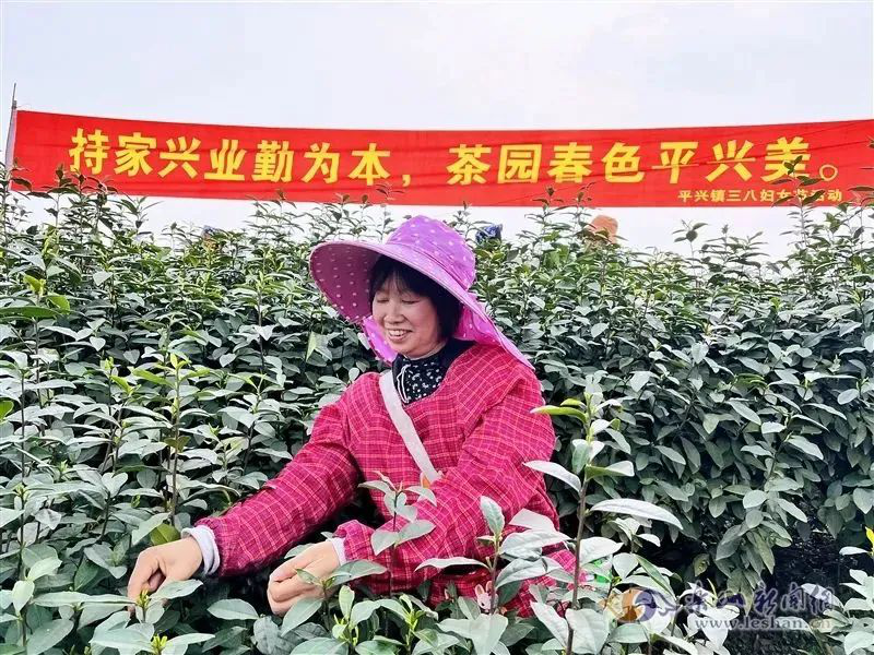 /website-webapp/ewebeditor/uploadfile/20221114165912312010