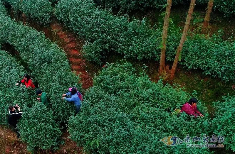 /website-webapp/ewebeditor/uploadfile/20221114165854193002