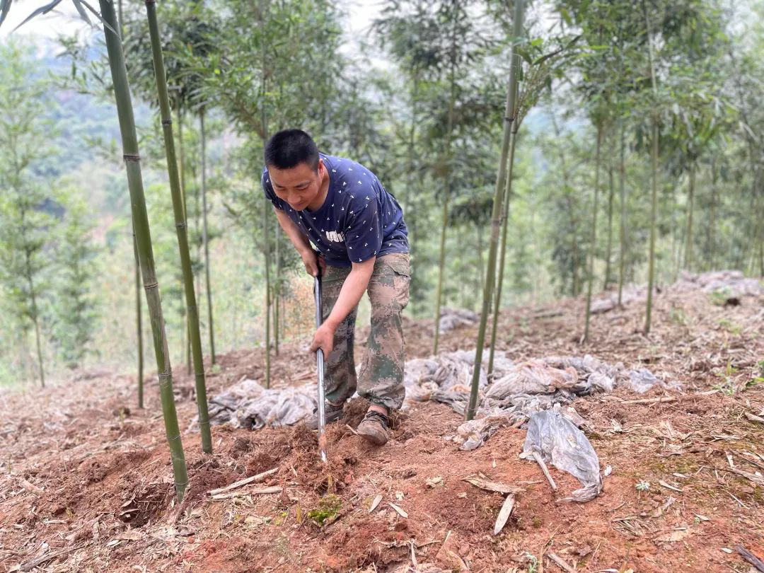 /website-webapp/ewebeditor/uploadfile/20220402150136624003