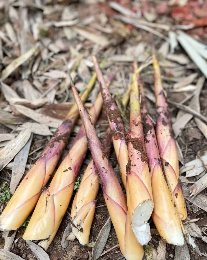 /website-webapp/ewebeditor/uploadfile/20220402150143257007