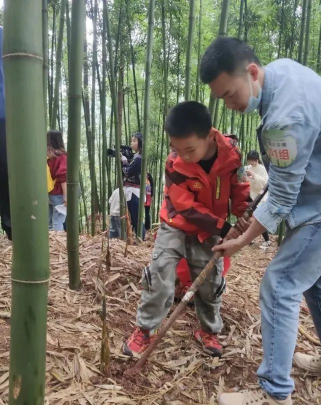 /website-webapp/ewebeditor/uploadfile/20220402150144906008