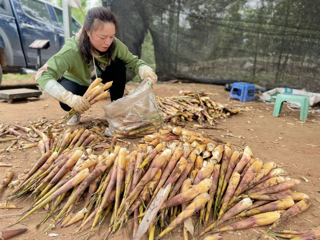 /website-webapp/ewebeditor/uploadfile/20220402150138613004