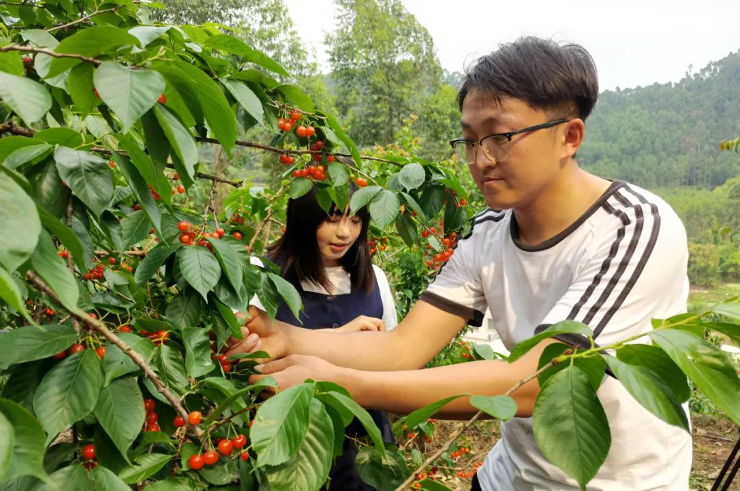 /website-webapp/ewebeditor/uploadfile/20220413160037616004