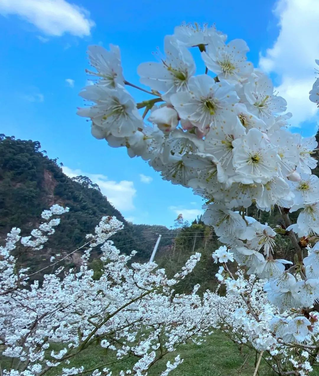 /website-webapp/ewebeditor/uploadfile/20220413160031143001