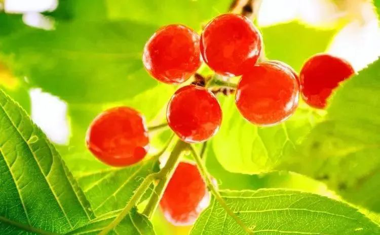 /website-webapp/ewebeditor/uploadfile/20220413160038628005