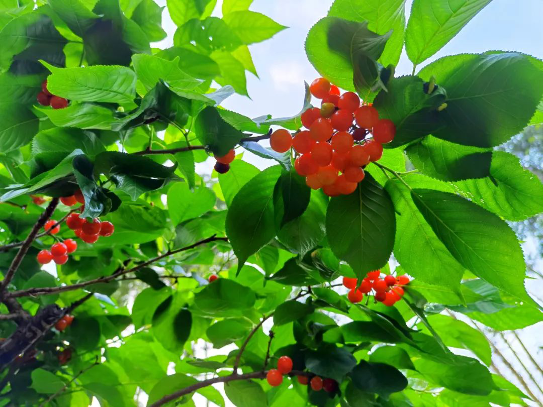 /website-webapp/ewebeditor/uploadfile/20220413160036300003