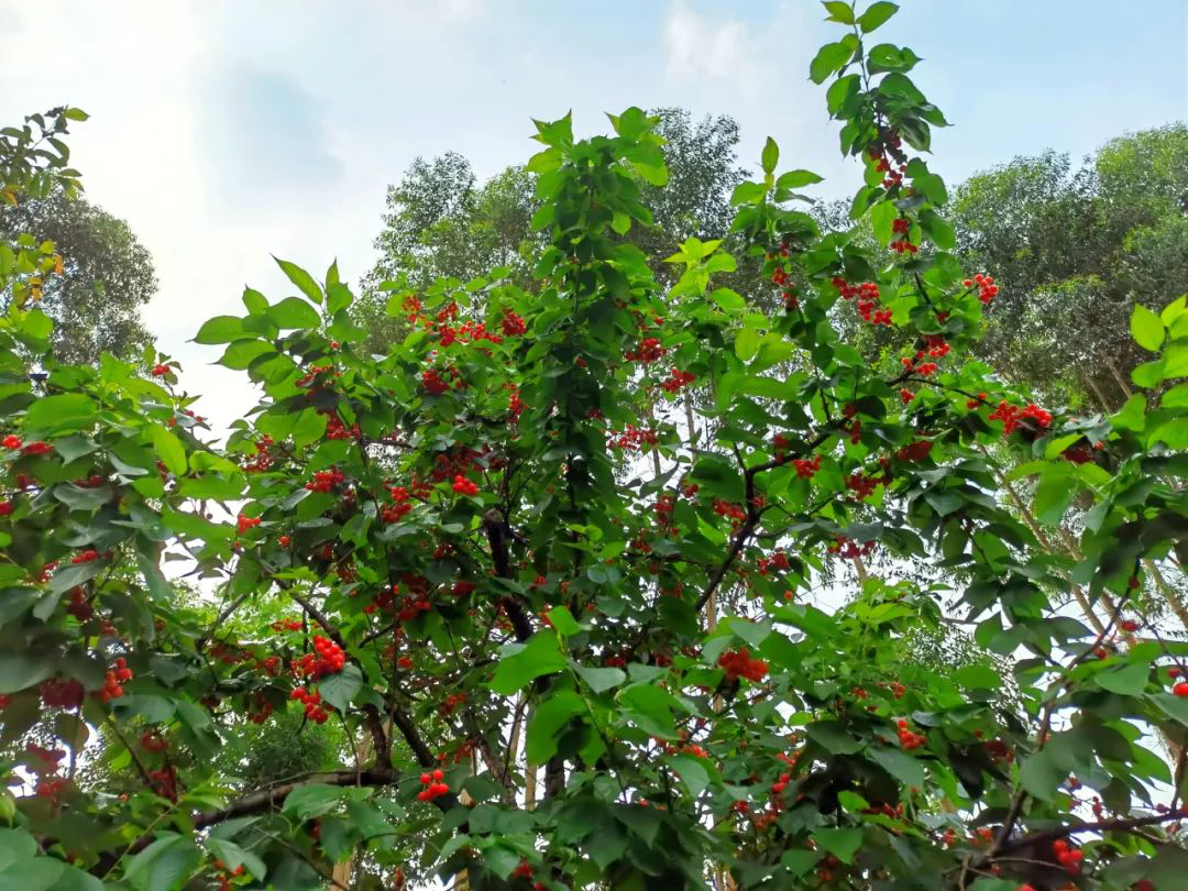 /website-webapp/ewebeditor/uploadfile/20220413160039117006