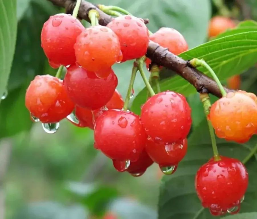 /website-webapp/ewebeditor/uploadfile/20220413160034260002