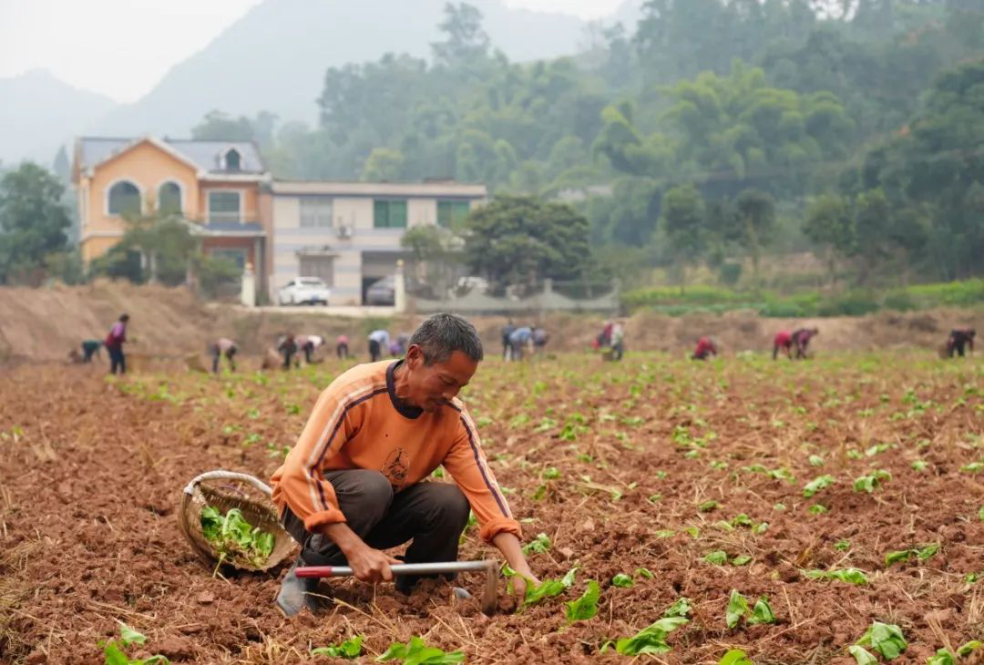 /website-webapp/ewebeditor/uploadfile/20221028164341539006