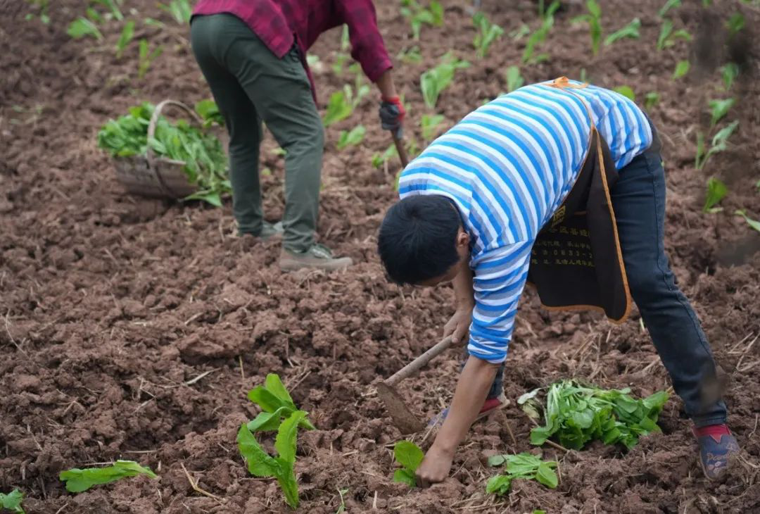 /website-webapp/ewebeditor/uploadfile/20221028164340163005