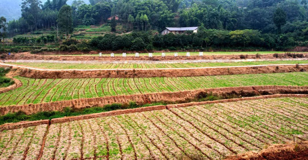 /website-webapp/ewebeditor/uploadfile/20221028164336296002