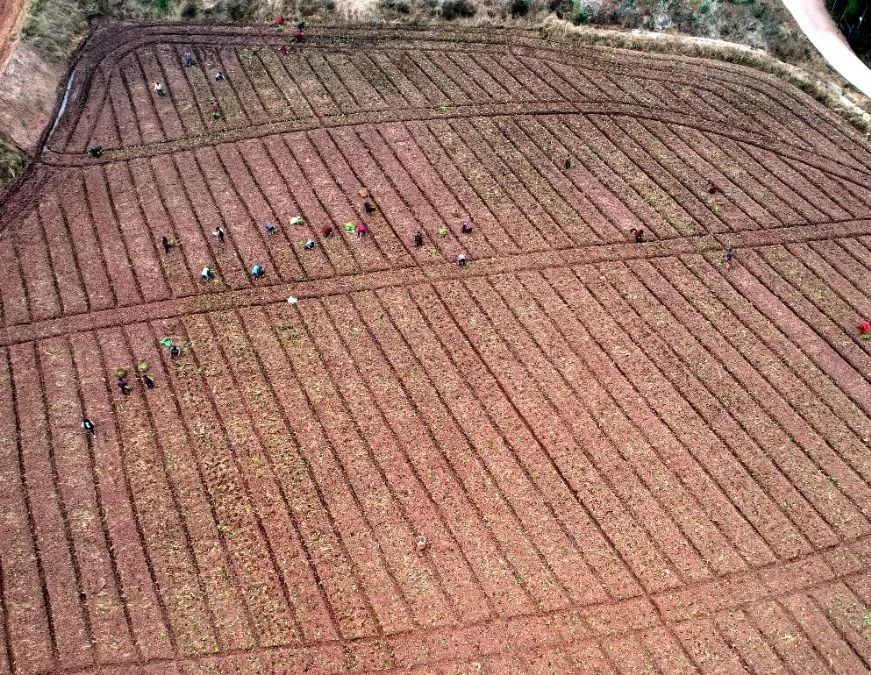 /website-webapp/ewebeditor/uploadfile/20221028164339773004