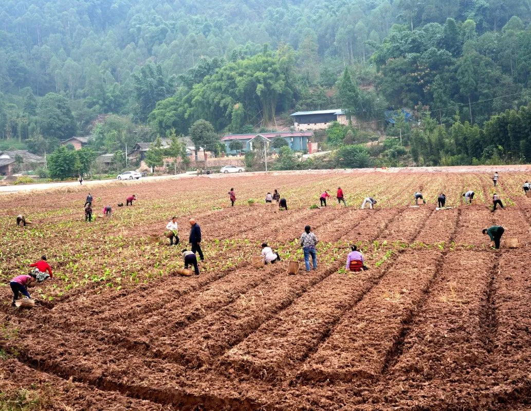 /website-webapp/ewebeditor/uploadfile/20221028164343899007