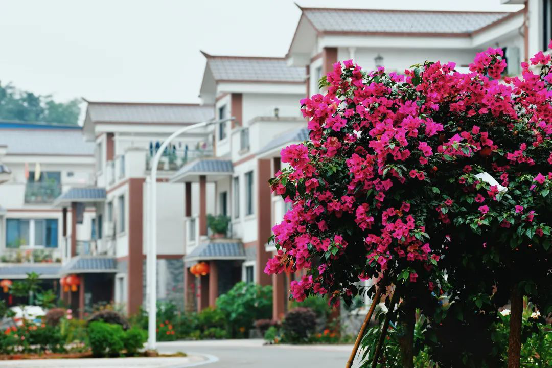 /website-webapp/ewebeditor/uploadfile/20220711120333903003