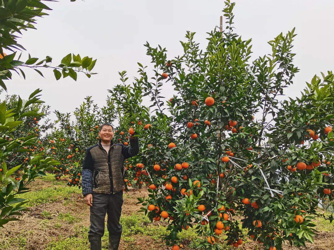 /website-webapp/ewebeditor/uploadfile/20230407094030308002