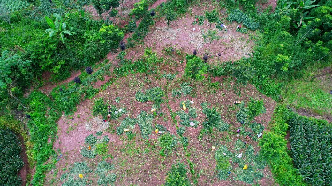 /website-webapp/ewebeditor/uploadfile/20220628114058516001