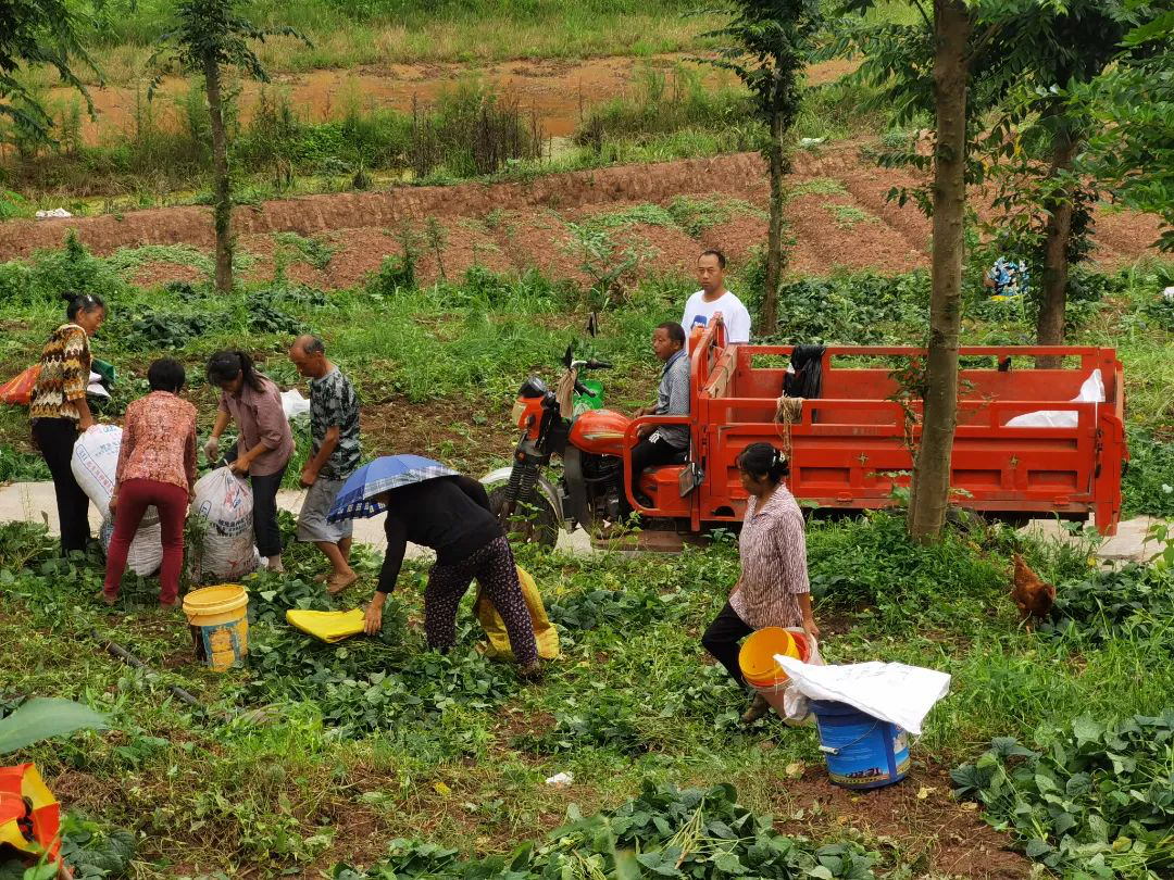 /website-webapp/ewebeditor/uploadfile/20220628114104417004