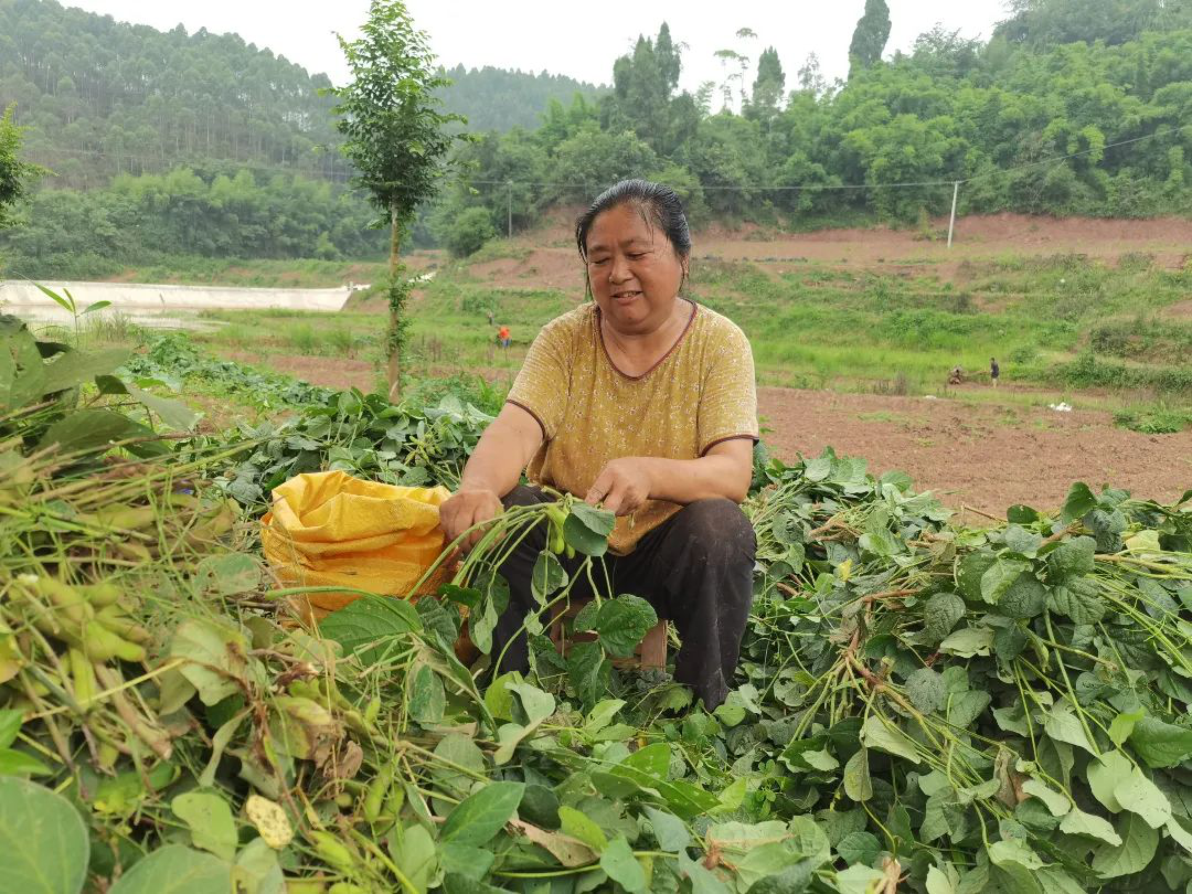 /website-webapp/ewebeditor/uploadfile/20220628114102882003