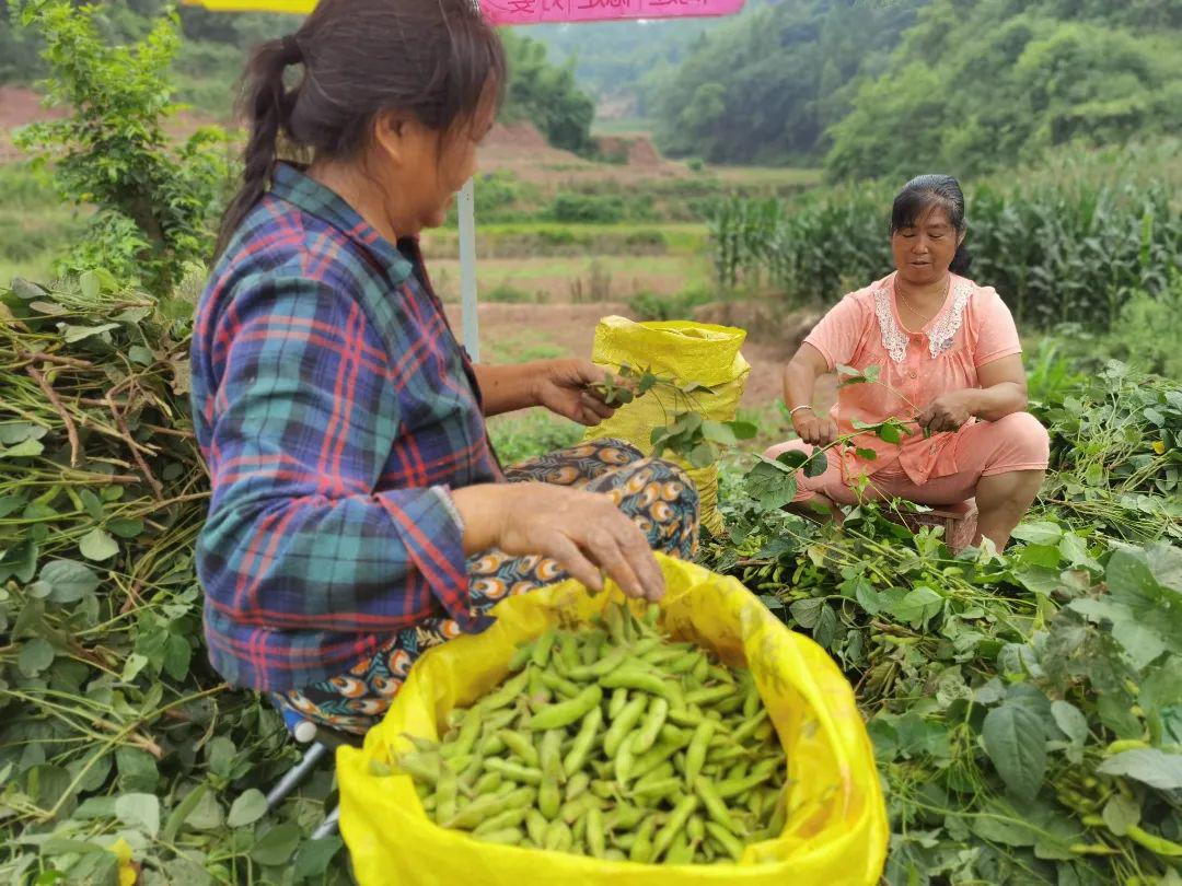 /website-webapp/ewebeditor/uploadfile/20220628114101979002