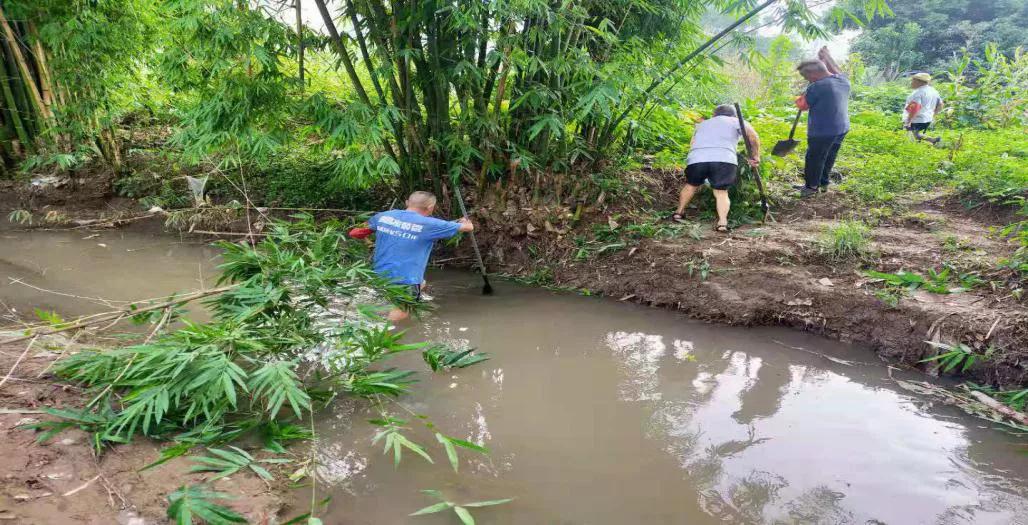 清理河道漂浮物