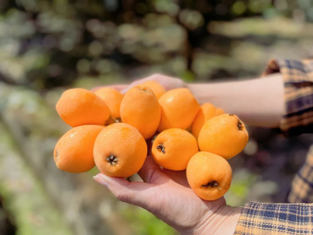 /website-webapp/ewebeditor/uploadfile/20220424154750323007