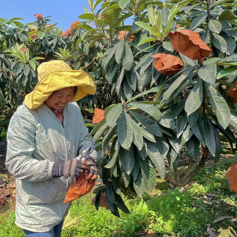 /website-webapp/ewebeditor/uploadfile/20220424154742807002