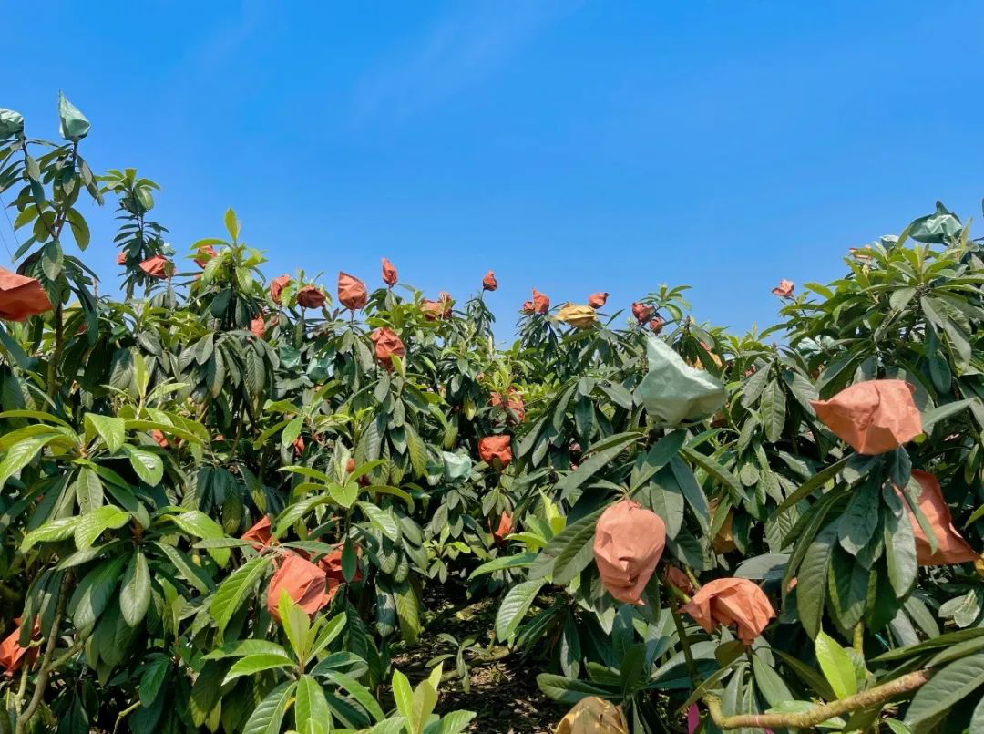 /website-webapp/ewebeditor/uploadfile/20220424154739352001