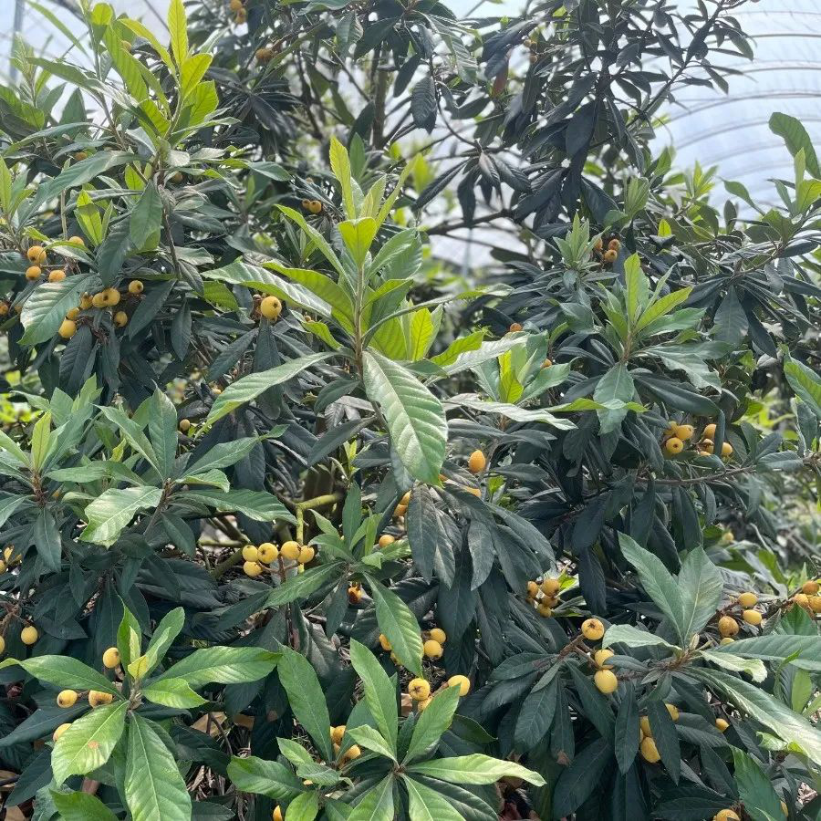 /website-webapp/ewebeditor/uploadfile/20220424154754960010