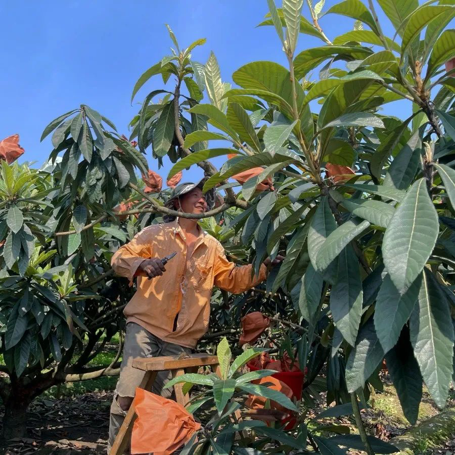 /website-webapp/ewebeditor/uploadfile/20220424154746869005