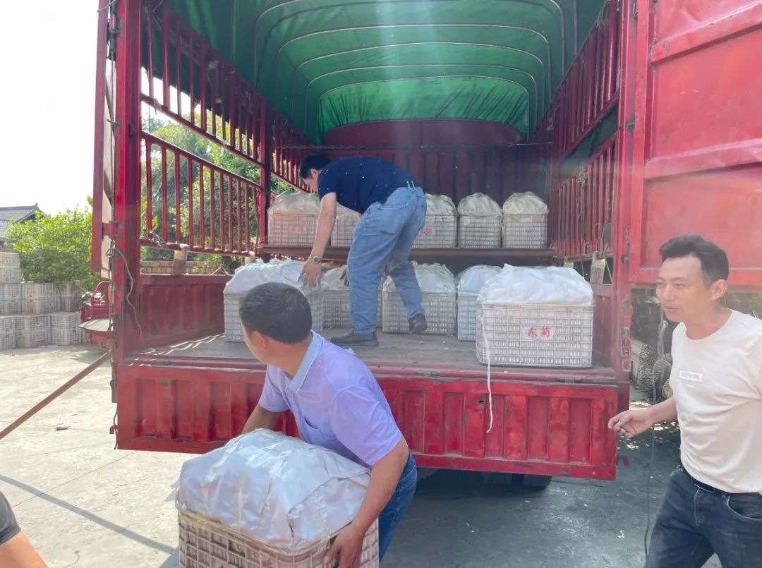 /website-webapp/ewebeditor/uploadfile/20220424154745958004