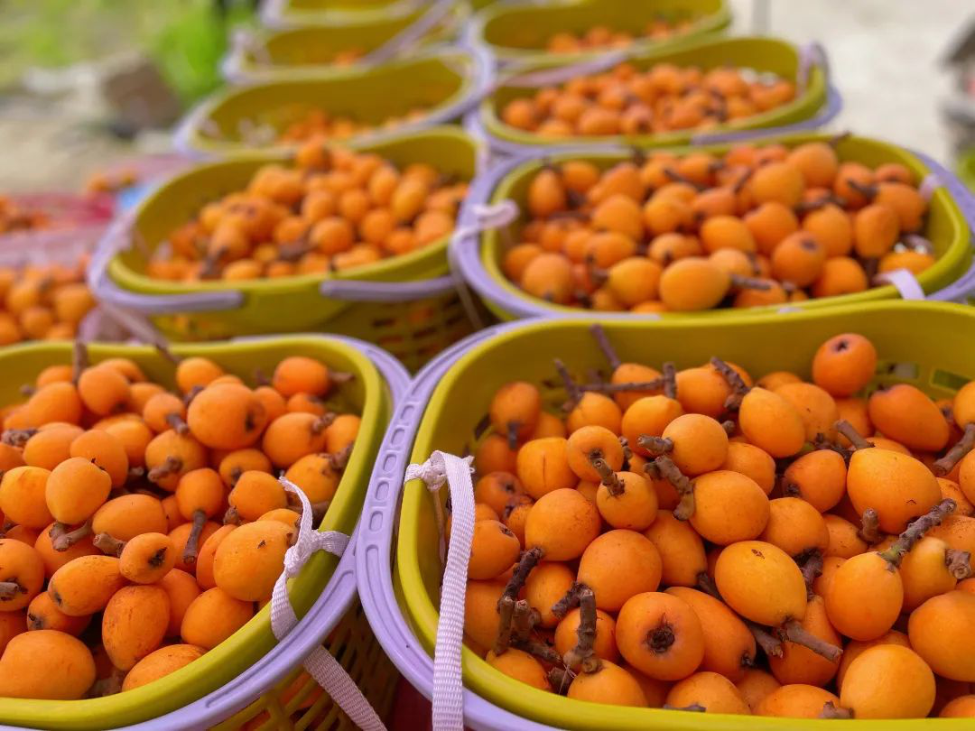 /website-webapp/ewebeditor/uploadfile/20220424154743771003