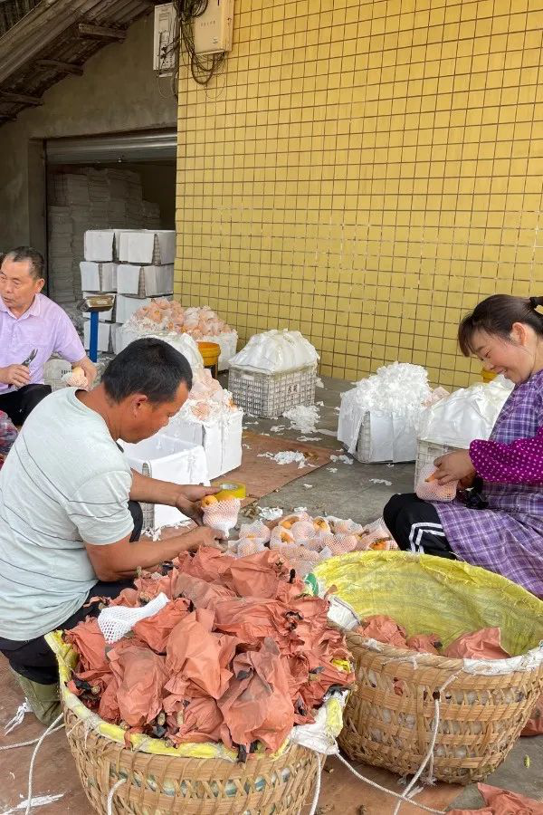 /website-webapp/ewebeditor/uploadfile/20220424154753898009