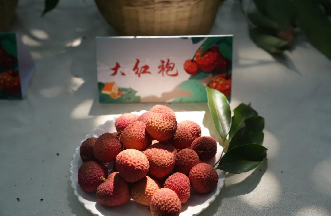 /website-webapp/ewebeditor/uploadfile/20220718105903648007