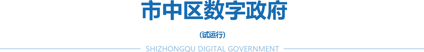 市中区数字政府