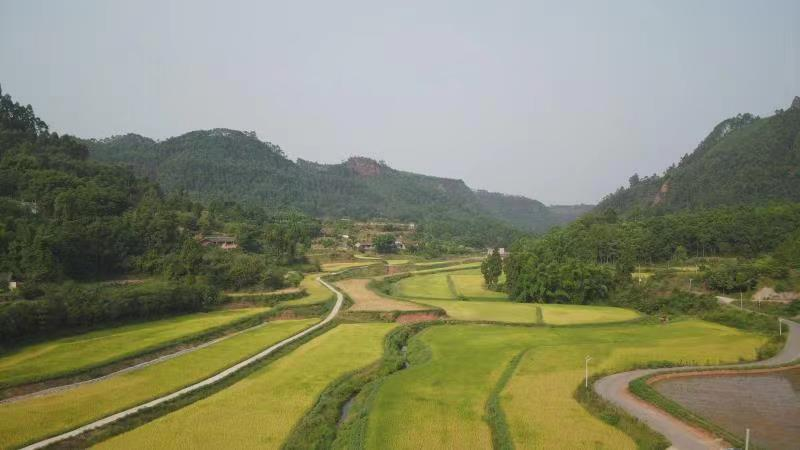 剑峰镇四家沟村新建成的高标准农田