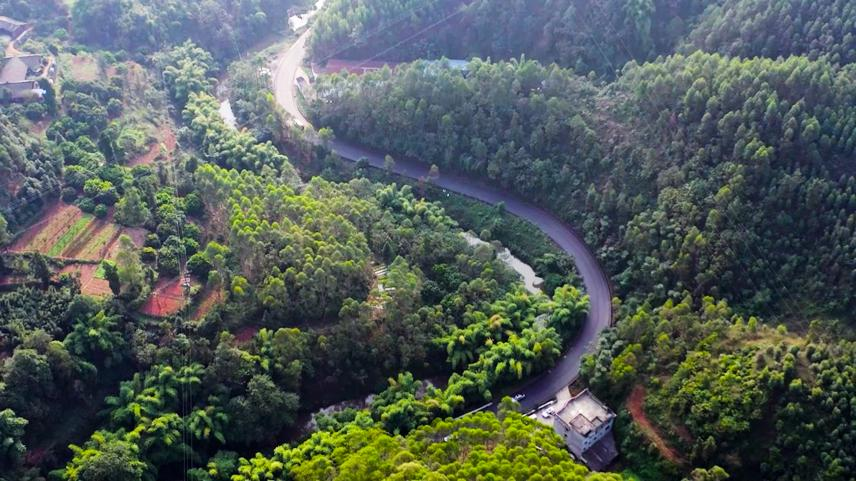 茅白路(青平至白马段)改建工程投入使用