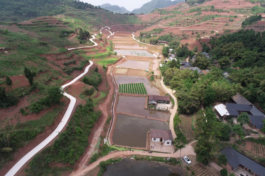 剑峰镇东旗村新建成的高标准农田