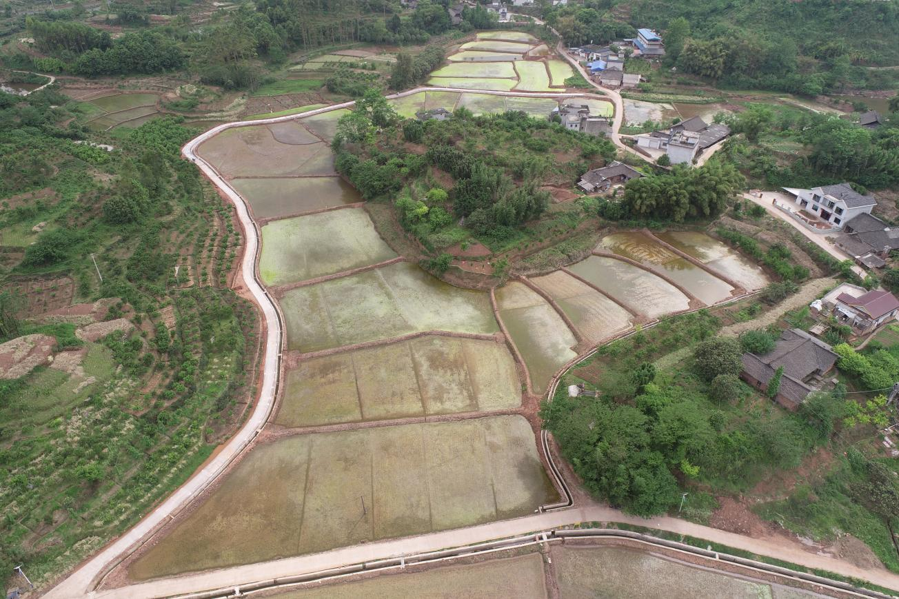 平兴镇高冲村新建成的高标准农田