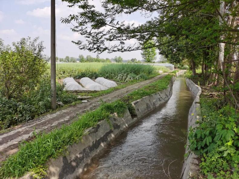 建成后投入使用的牛头堰干渠