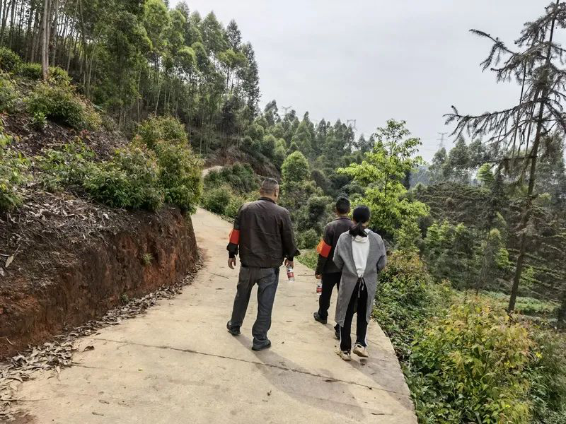 /website-webapp/ewebeditor/uploadfile/20220401140427709001