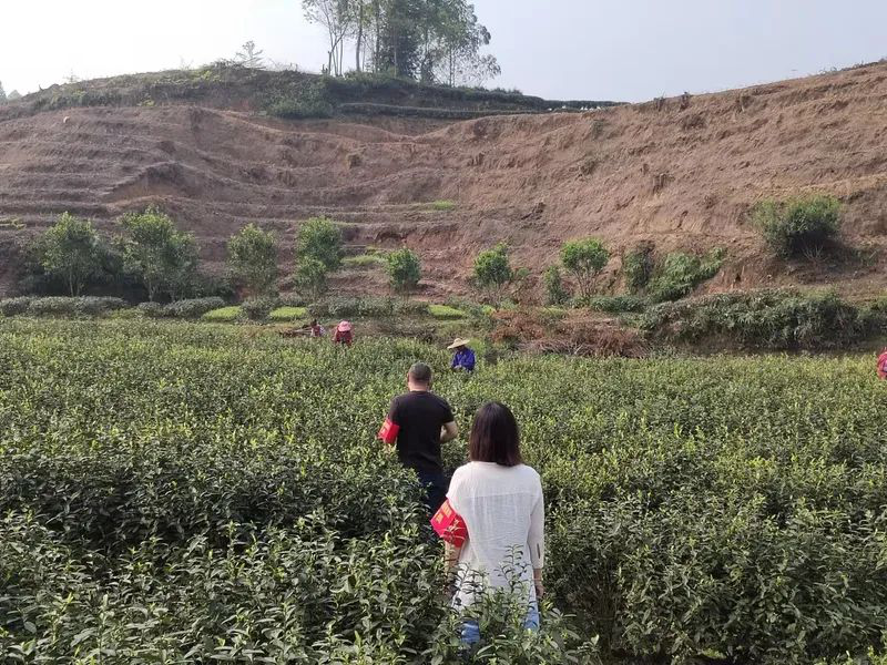 /website-webapp/ewebeditor/uploadfile/20220401140434812004