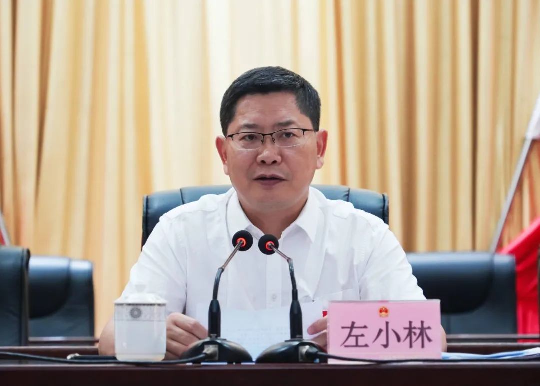 区委书记左小林讲话