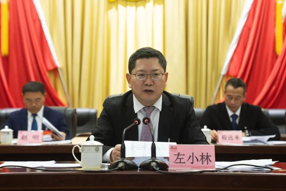 区委书记左小林作了讲话